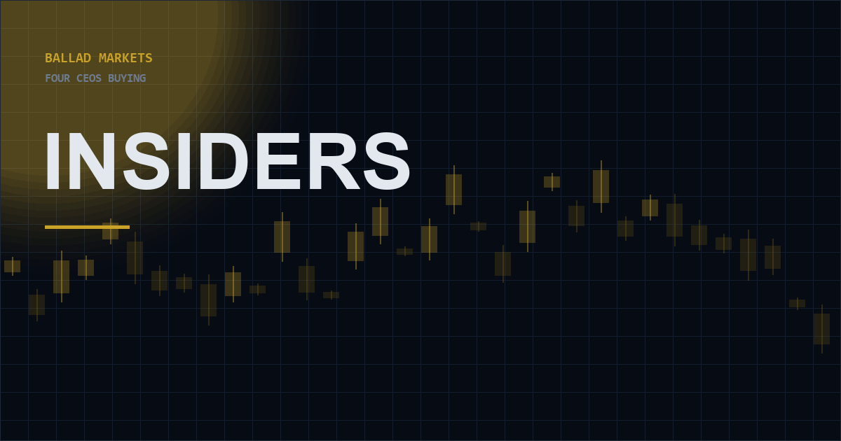 The Boss Is Buying: 4 CEOs Who Just Bet Their Own Money on a Rebound